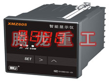 溫度表、數(shù)字顯示儀、濕度表