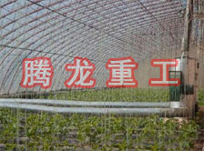 大棚花卉供暖設備、大棚卉采暖設備、大棚花卉取暖設備